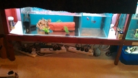 Job lot Aquarium set up & accessories