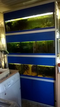 4FT TANK RACK john allen