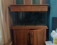 3 ft fish tank