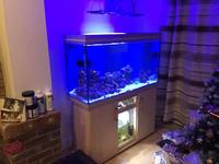 Marine Fish Tank £750ono