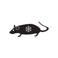 Frozen Rats