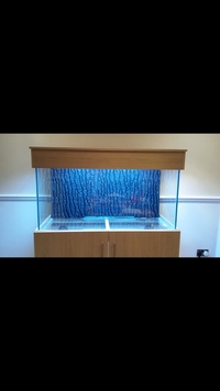 Large fish tank