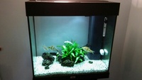 Juwel Lido 120 Aquarium, Cabinet, and Complete Set Up £95