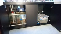 Full marine tank set up for sale