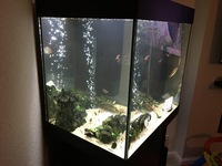 Juwel Lido 200 Aquarium (Black) plus Cabinet- £250