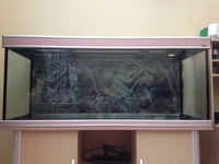 Aqua One 5ft tank with iquatics aqualumi lighting