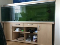 RENA FISH TANK 7ft 1.5ftw 2ft h