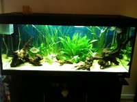 480 litre tank for sale