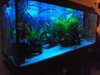 480 litre tank for sale