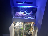 ND aquatics full marine set.up with extras. Skimmer sump wavemakers jebao TMC