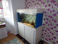 Fish tank custom made.