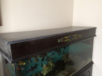 5ft tank full set up with mbuna cichlids