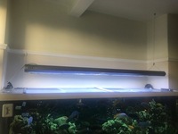 Ati 5ft T5, 150cm hanging light unit