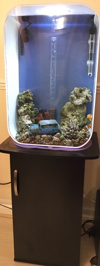 Biorb Marine Tank - bargain at £100