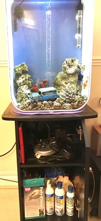 Biorb Marine Tank - bargain at £100