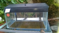 Fish Tanks from my fish room for sale