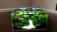 Aqua One Inspire Fishtank Aquascaping or Marine & accessories £200