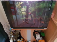 100 Litre Aqua One Tropical Tank For Sale (Includes light, heater, etc) £55