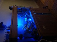 Full set up Marine reef system with sump andall livestock 5ft