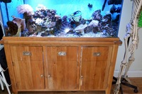 Full set up Marine reef system with sump andall livestock 5ft