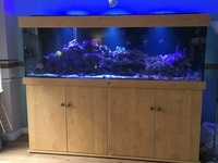 Marine aquarium