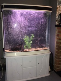 Fish tank