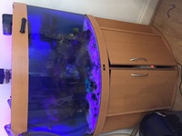 Marine fish tank breakdown