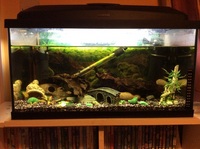 For sale - 54 Litre Tank - £50