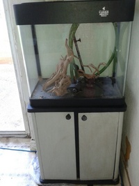 CLEAIR Aquatics fish tank 100 litres