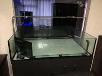 Professional Coral Tank full Setup For Sale £325