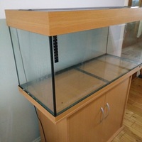 Juwel Rio 180 fish tank in beach with cabinet and working light £60