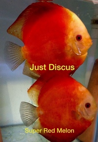 JUST DISCUS BUY 5 GET 1 FREE from ONLY £32 @3-3.5” and thousands of top quality Discus to choose from and the biggest selection in the U.K. Cheapest prices guaranteed.