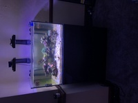 EA Reef salt water fish tank for sale