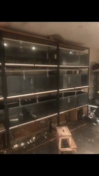 Banks of Aquariums ex shop system 3x4ft Milton Keynes