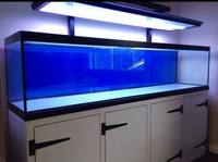 Aquarium - Fish tank - Cabinet - Steel stands - Pelmets - Manufacturer - Brand new - Custom made - Glass tanks