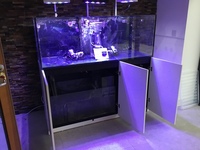 Red Sea reefer 525xl,nyos skimmer,Aqua illumination vega lights, ecotech mp40 vortech