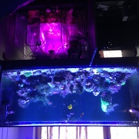 Complete Marine Reef System - Evolution Aqua eaReefPro 1500S