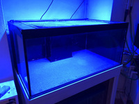 Marine/ Fresh Water Aquarium Fish tank with Weir and sump by ND Aquatics