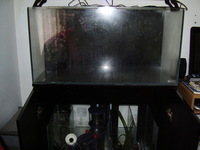 Marine tank sale