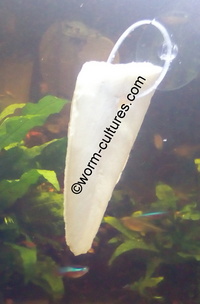 Sinking Cuttlefish ~ Suitable for all Tropical & Cold Water Tanks ~ Shrimp ~ Snails ~ Etc