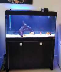 Fluval 200 & Cabinet £150