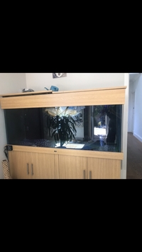 Nd Aquatics 5ftx2ftx2ft Aquarium for sale £250