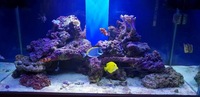 Marine aquarium