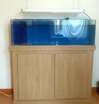 Custom Made Marine tank - 4ft