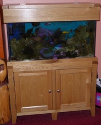 LAST CHANCE Quick Sale Marine Tank Setup : Dorset