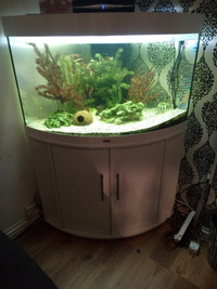 Juwel 190 aquarium