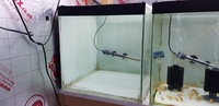 Breeding tanks