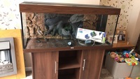 Juwel rio 240 litre tank