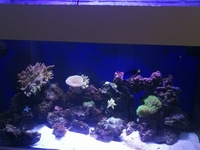 4x2x2 Marine full set up