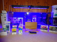 Full Marine Setup - Now selling items separately